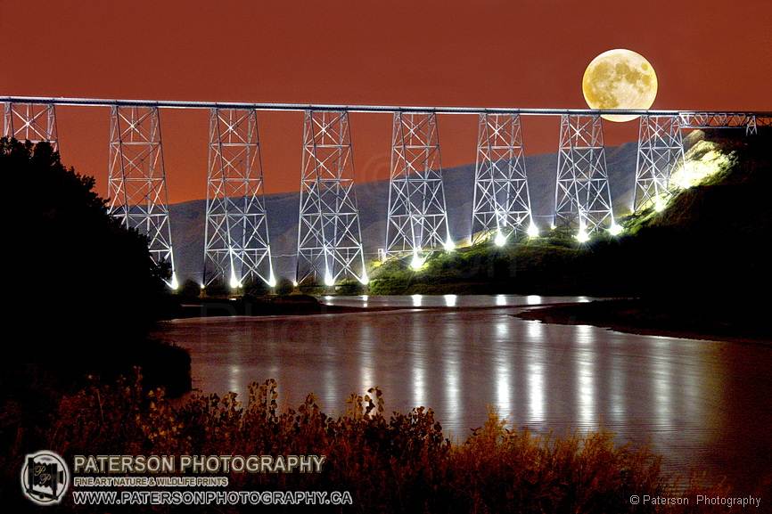 Lethbridge High level bridge lit up at night with a full moon