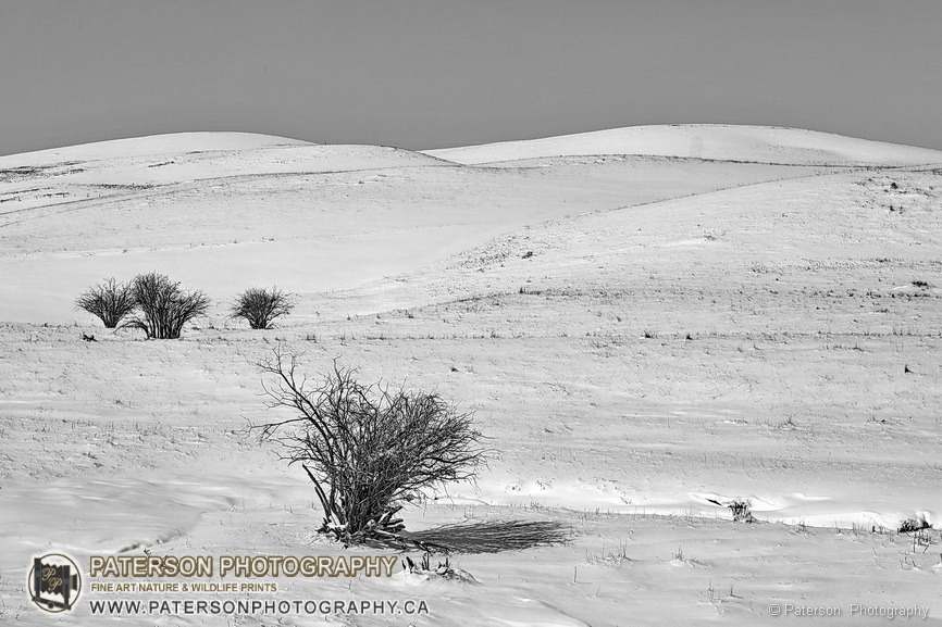 Black & white scenic prints for wall decor and fine art wall prints