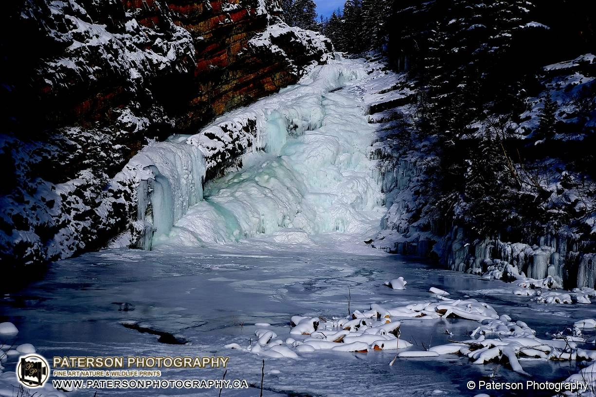 Frozen Majesty, Cameron Falls Waterton