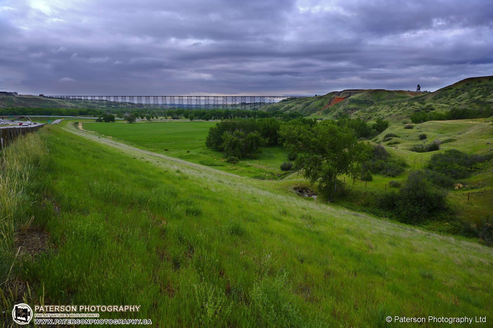 Looking across a vibrant green Lethbridge river valley and high level bridge